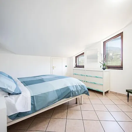 Ulivo Secolare * Recanati