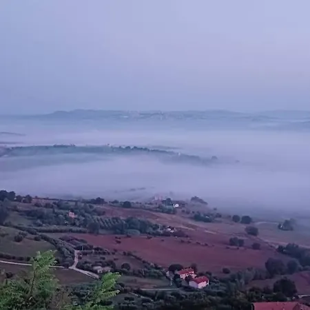 Ulivo Secolare