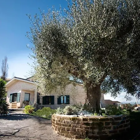 Apartamento Ulivo Secolare