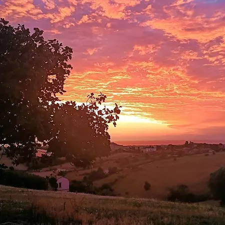Appartamento Ulivo Secolare